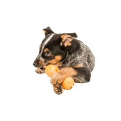 Zogoflex Qwizl 4 Zogoflex Qwizl -Heimtierbedarf zogoflex qwizl 136852 0500 none