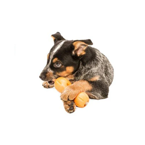 Zogoflex Qwizl Zogoflex Qwizl -Heimtierbedarf