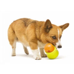 Zogoflex Toppl - Treat Toy 8 Zogoflex Toppl - Treat Toy -Heimtierbedarf zogoflex toppl treat toy 219464 0500 none